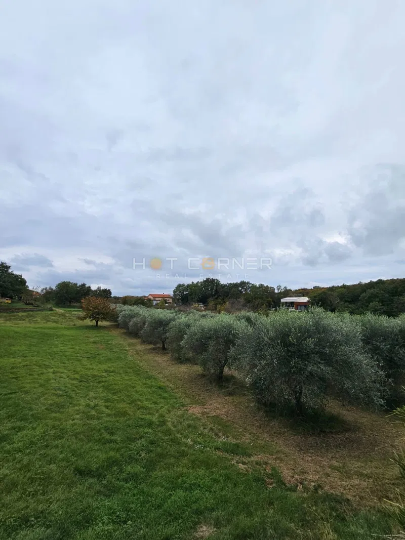 Prekrasna građevinska parcela nadomak Rovinja – 5.060 m² – 2
