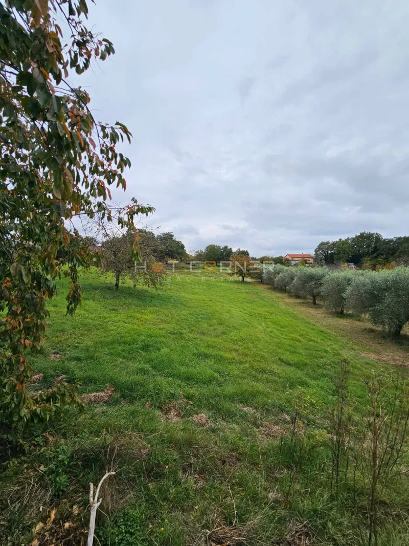 Prekrasna građevinska parcela nadomak Rovinja – 5.060 m² – 3