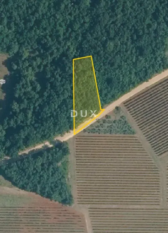 ISTRIA, VIŠNJAN - Agricultural land – 2