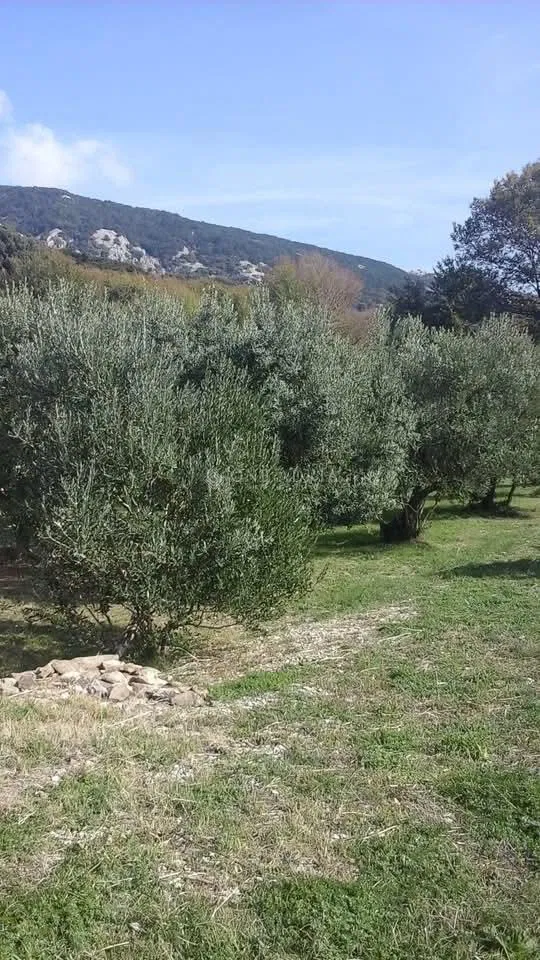Zemljišče Baška – 2
