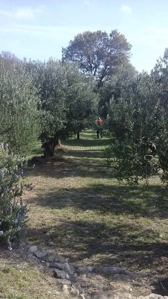 Zemljišče Baška – 3
