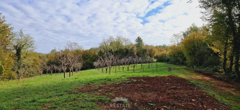 Med Višnjanom in Vižinado: gradbeno zemljišče + kmetijsko