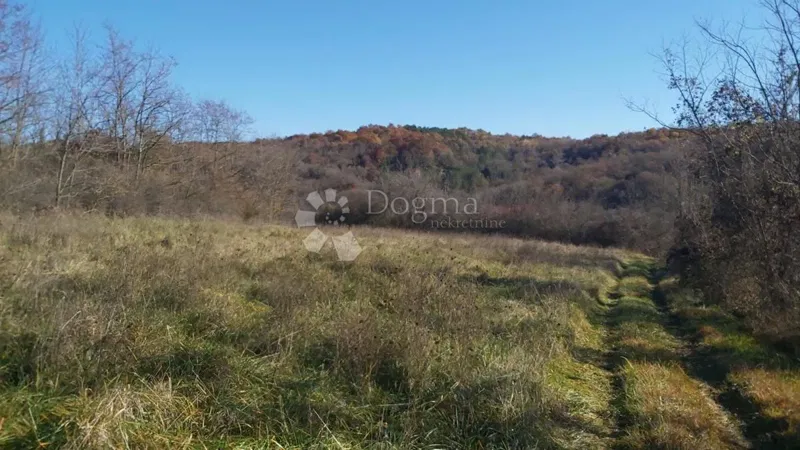 Działka Trviž, Pazin - Okolica, 25.400m2 – 2