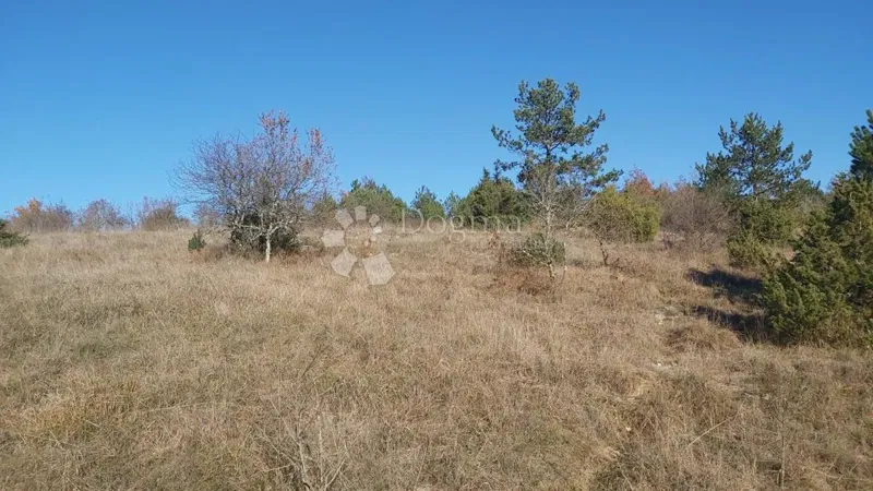 Działka Trviž, Pazin - Okolica, 25.400m2 – 3