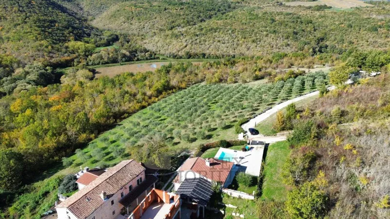 House with pool and view of green hills – Motovun – 3