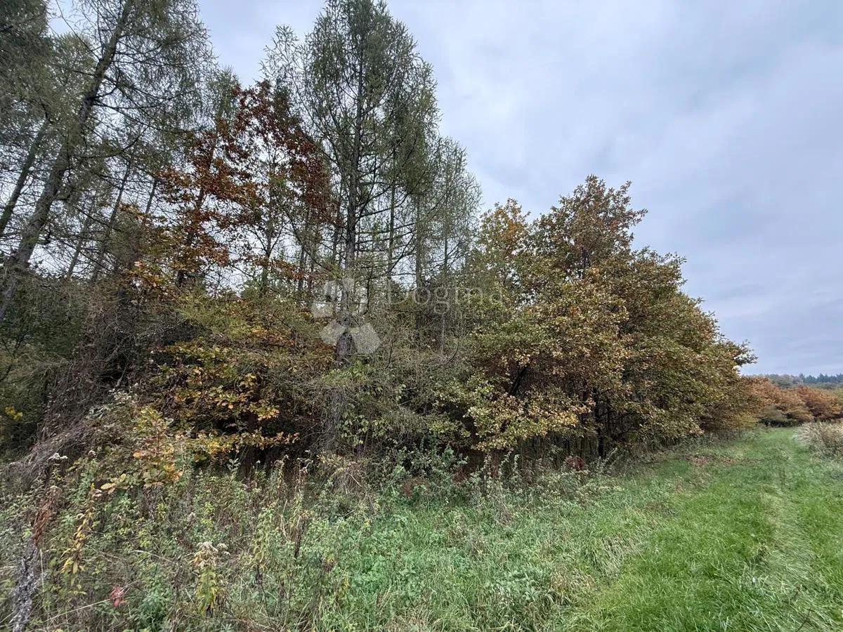 Zemědělská půda Čalinec, Maruševec, 1.446m2