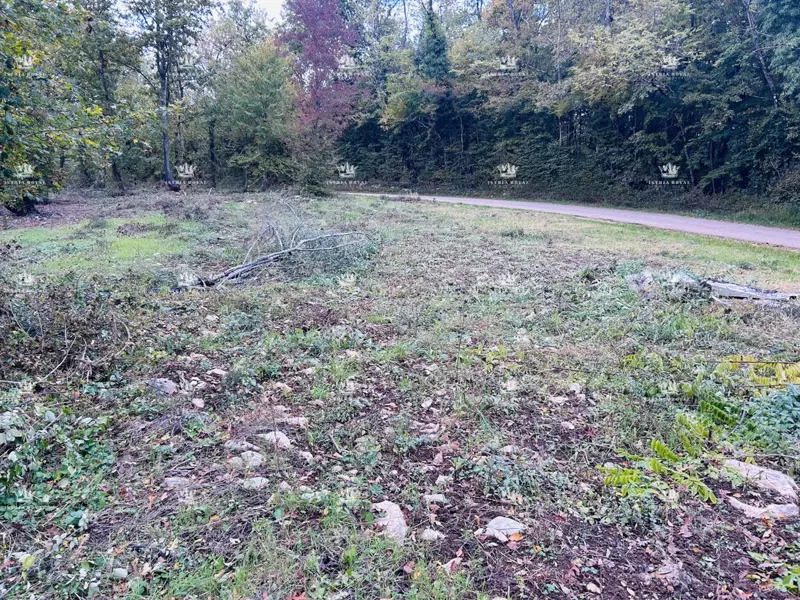 Istria, Karojba – Building land 1450 m² with project and building permit – 3