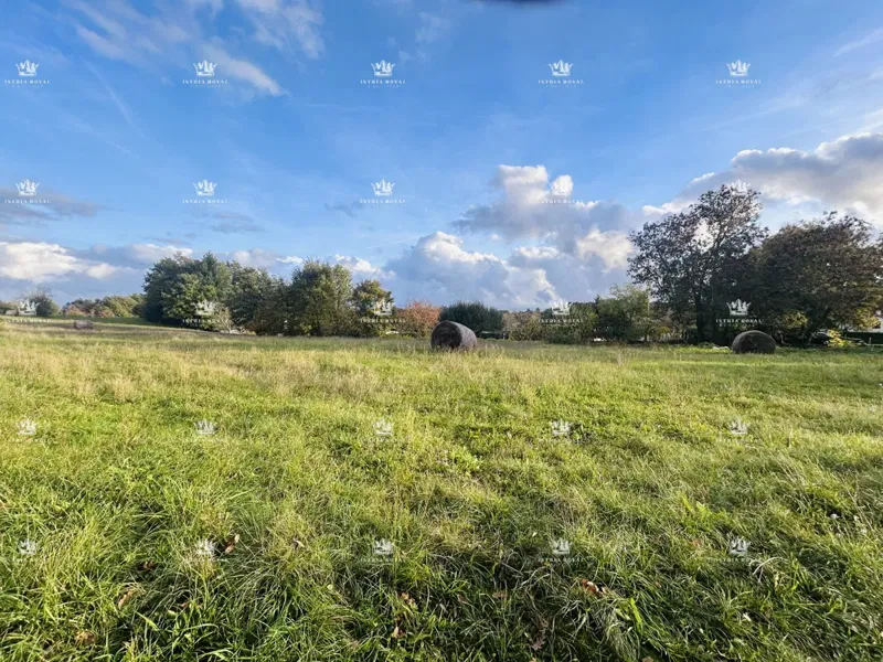 Building land 7,335 m² – Žminj, Istria | Buildability 40%, ideal for multiple villas – 2