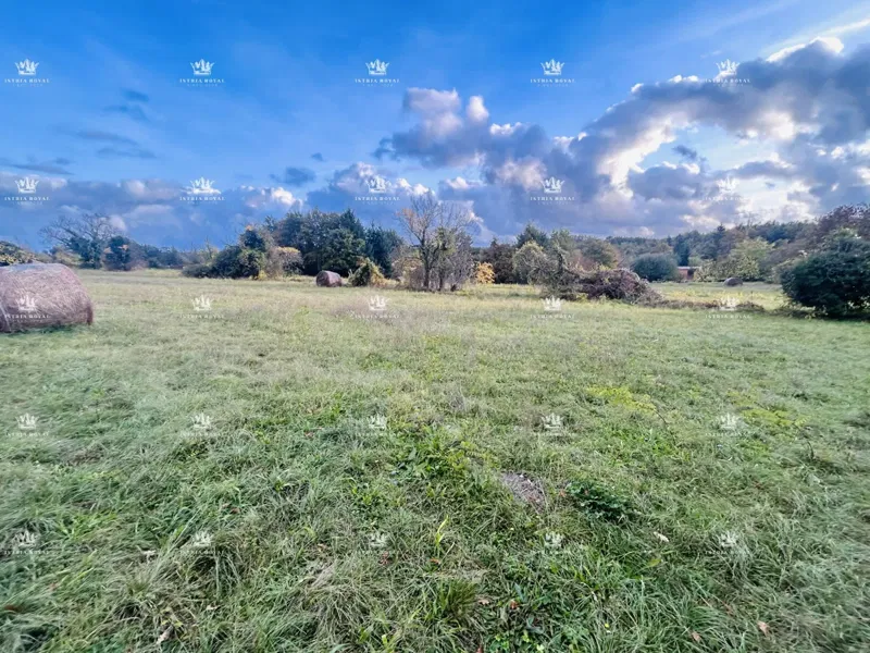 Building land 7,335 m² – Žminj, Istria | Buildability 40%, ideal for multiple villas – 3