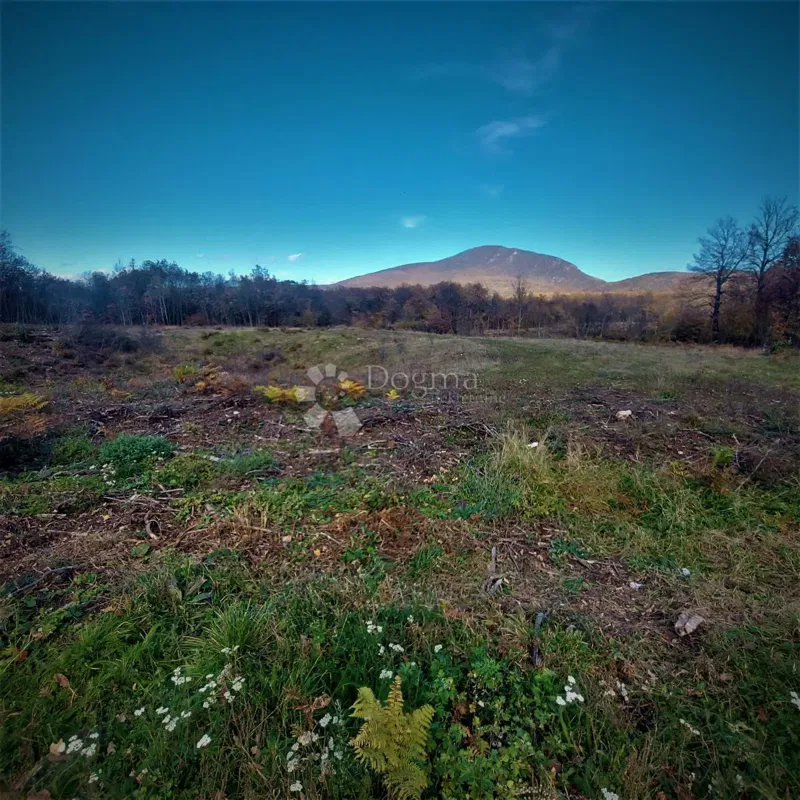Terreno agricolo Kestenovac, Donji Lapac, 19.050m2