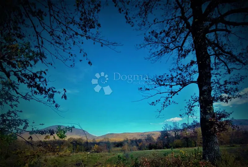 Agricultural land Kestenovac, Donji Lapac, 19.050m2 – 3