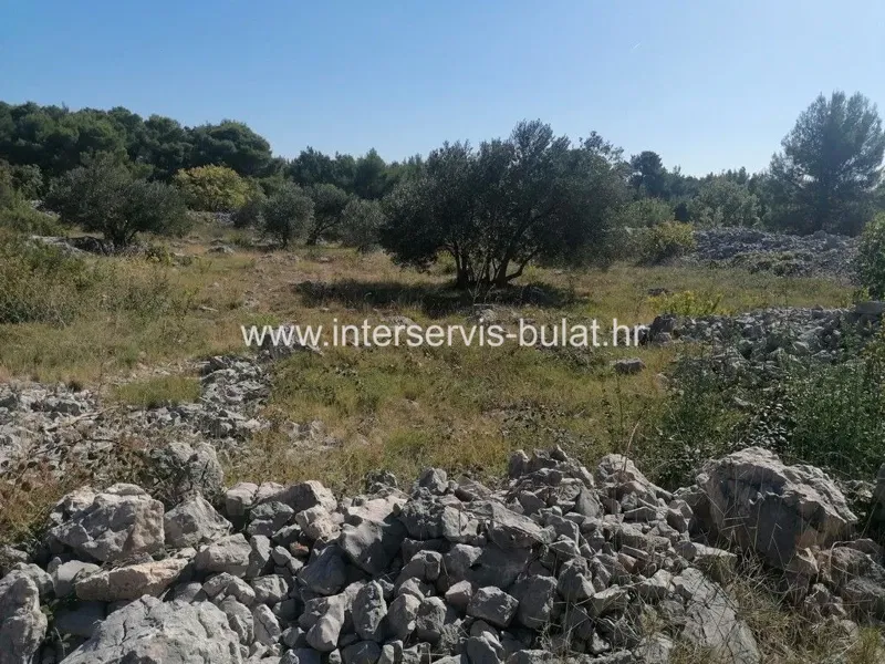 .::: Građevinsko zemljište površine 1.121m2 u Tribunju :::.