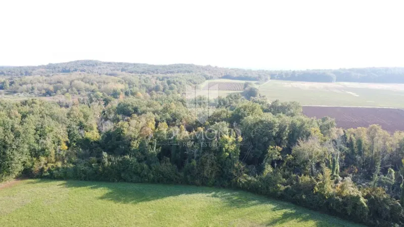 Istria, Parenzo – Terreno agricolo 14.882 m² – 2