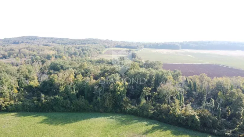 Istria, Parenzo – Terreno agricolo 14.882 m² – 3