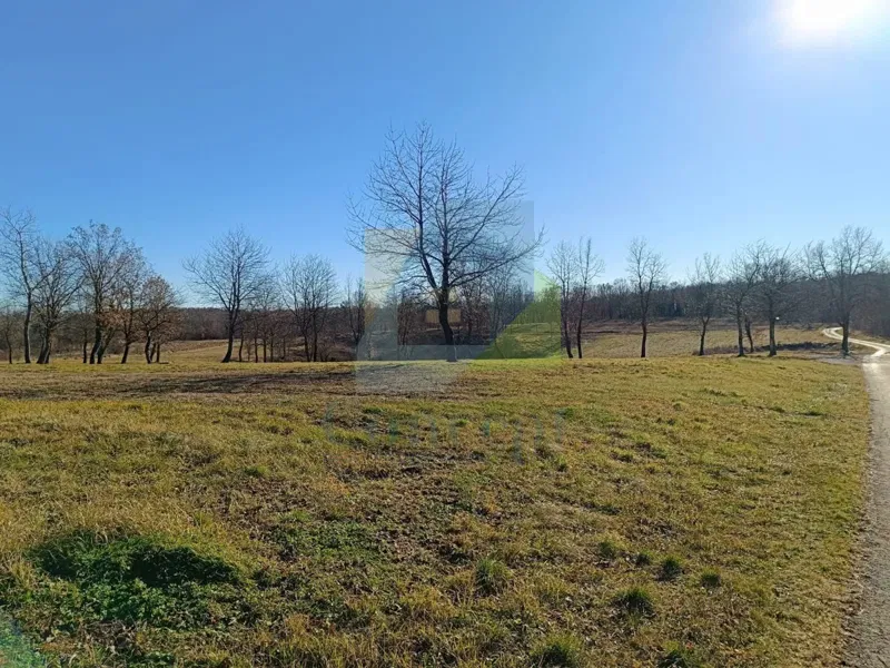 Poreč, Surroundings, Building Land in a Beautiful Quiet Location – 2