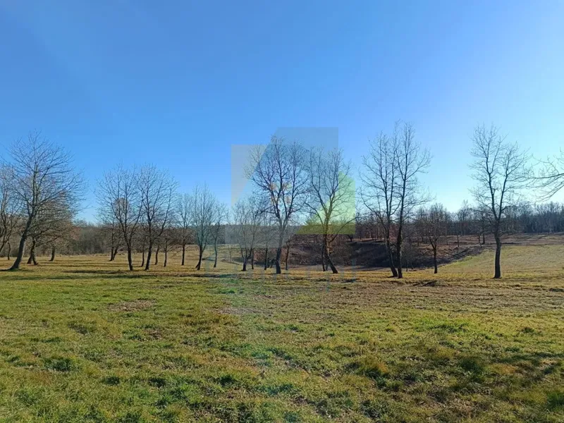 Poreč, Surroundings, Building Land in a Beautiful Quiet Location – 3