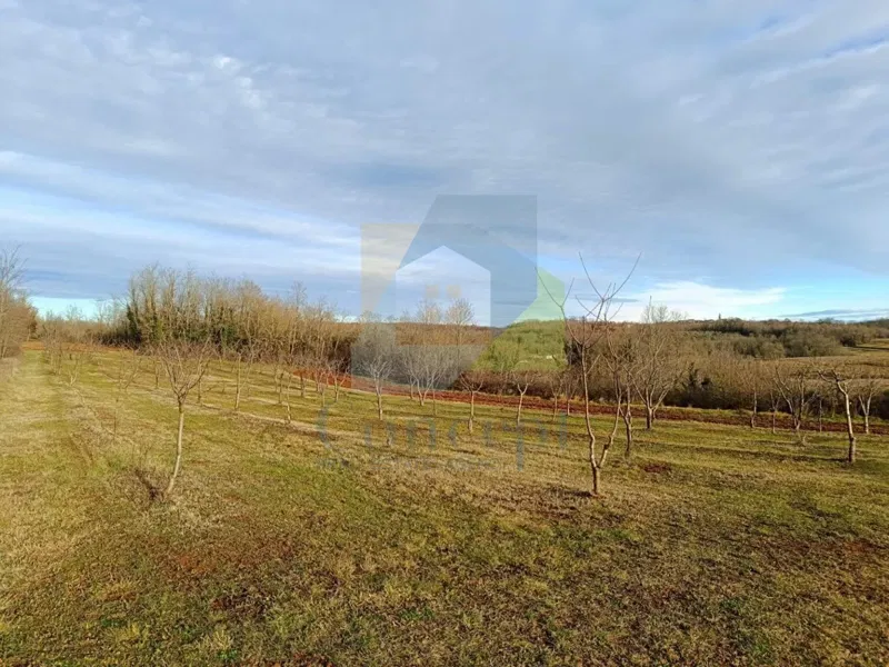 Poreč, surroundings, Construction land 1100 m2 with non-building land – 2