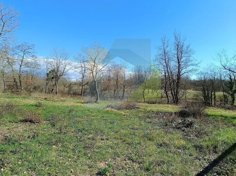 Poreč, Tar - REDUCED PRICE - Building Land T2 Zone 1.5 km from the Sea – 2
