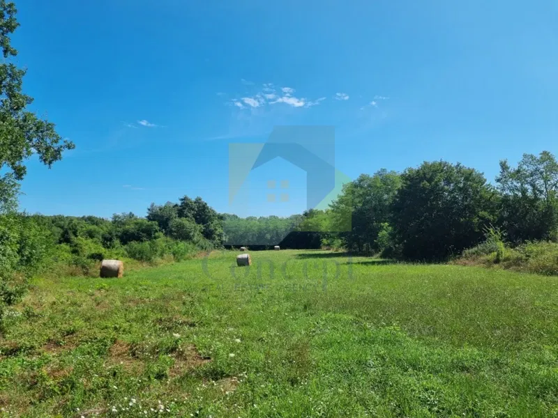 Poreč, Baderna - EKSKLUZIVA AGENZIE - Terreno edificabile con non edificabile, a 20 km dal mare – 2