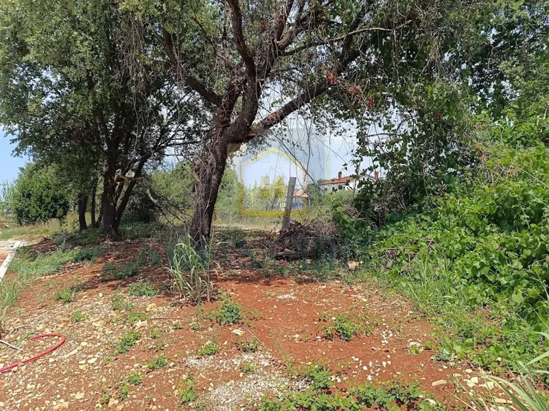 Poreč, zona circostante, Terreno edificabile con vista mare, a 1,5 km dal mare – 2