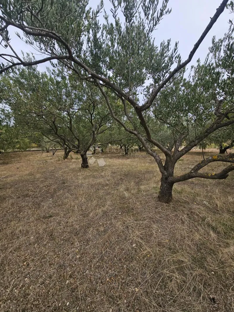 Mezőgazdasági terület Kaštel Štafilić, Kaštela, 1.000m2