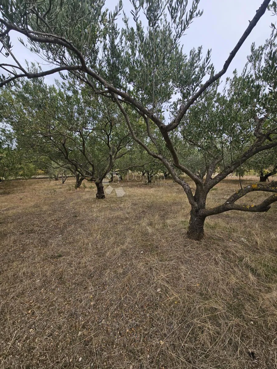 Mezőgazdasági terület Kaštel Štafilić, Kaštela, 1.000m2