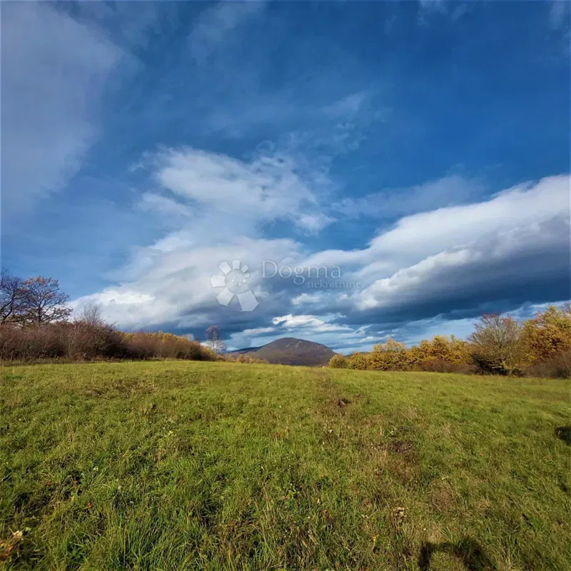 Сельскохозяйственная земля Kestenovac, Donji Lapac, 20.195m2 – 2