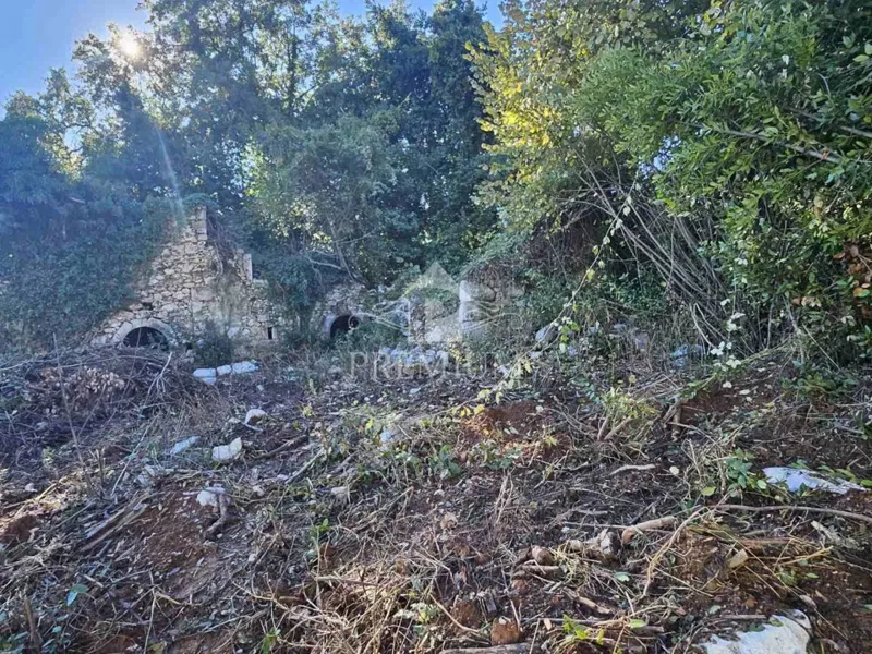 OLD STONE RUIN WITH GARDEN – 3