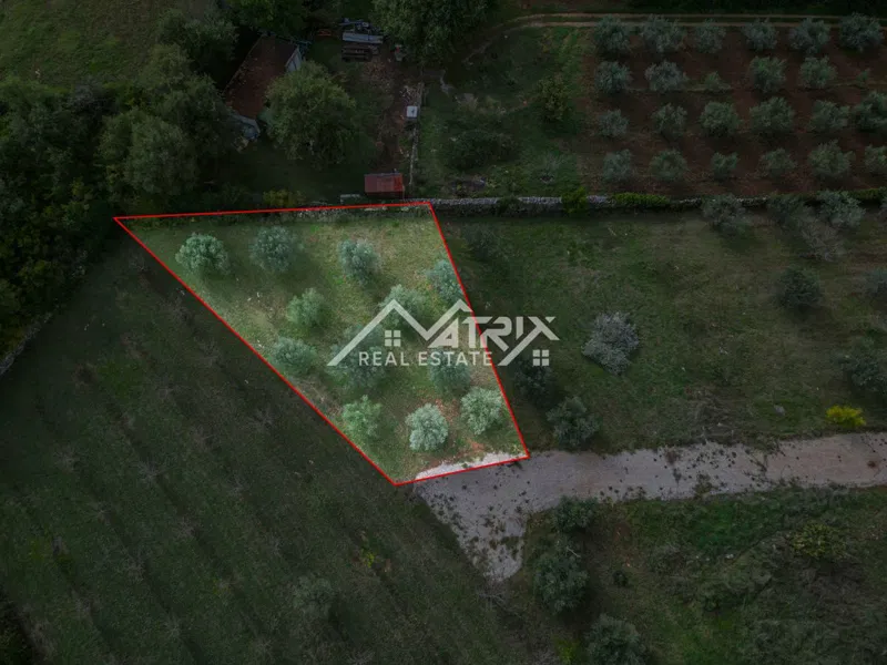 Vodnjanska okolica, zazidljivo zemljišče 643 m², obdano z zelenjem – 3