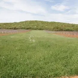 Mezőgazdasági terület Flengi, Sveti Lovreč, 8.440m2