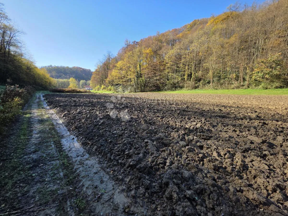 Poljoprivredno zemljište 2.464m² u Selnu kod Krapinskih Toplica