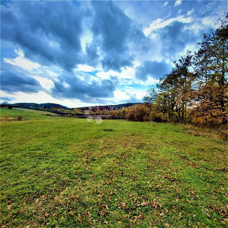 Ziemia rolna Kestenovac, Donji Lapac, 43.702m2 – 2