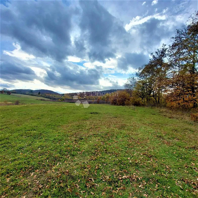 Ziemia rolna Kestenovac, Donji Lapac, 43.702m2 – 3