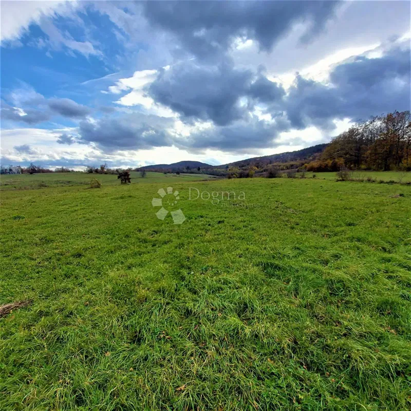 Terreno agricolo Kestenovac, Donji Lapac, 3.776m2 – 2