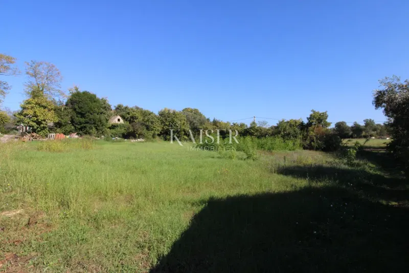 Istria - Nova Vas, building land for residential purposes – 2