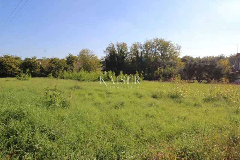 Istria - Nova Vas, building land for residential purposes – 3