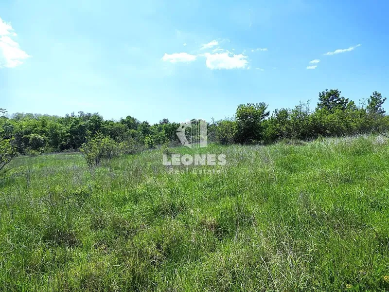 Agricultural land in the vicinity of Umag – 2