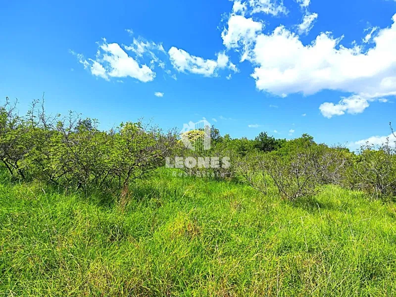 Agricultural land in the vicinity of Umag – 3
