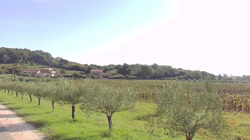 ISTRIA, Poreč area – Excellent building plot in a quiet location – 2