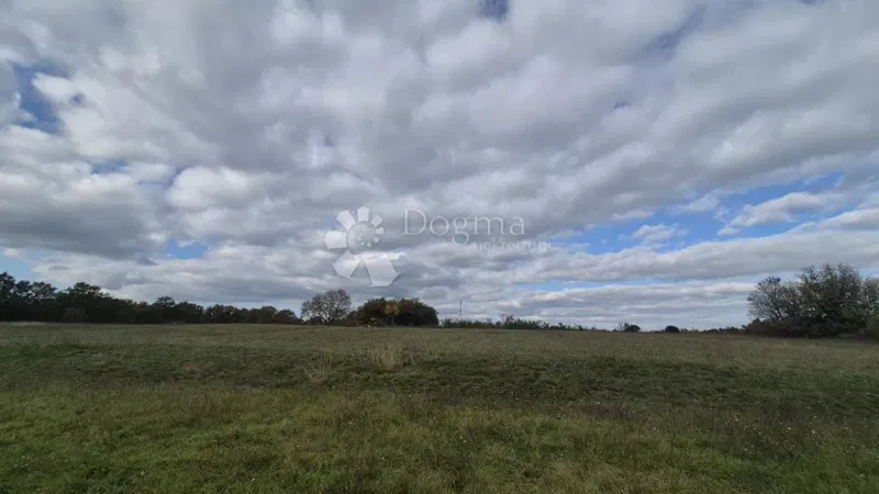 Terreno agricolo Pusti, Svetvinčenat, 8.182m2 – 3