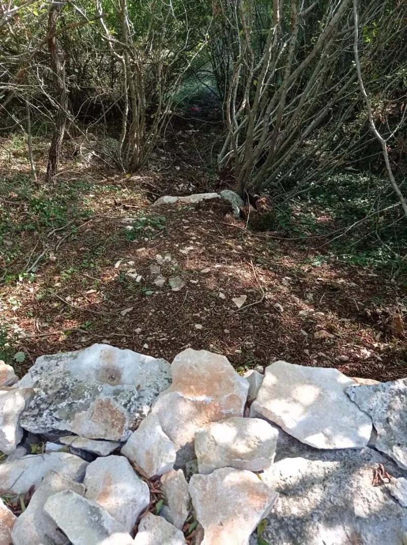 Ziemia rolna Cukrići, Svetvinčenat, 3.389m2 – 2