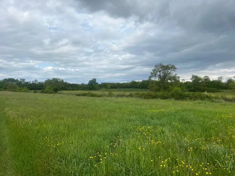 MURVICA-poljoprivredno zemljište 5.392m2