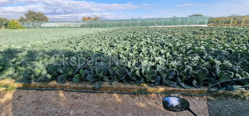 Trogir, Divulje, agricultural land 751 m2, only 120 m from the sea – 2