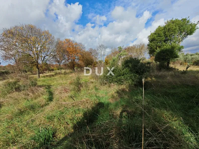ISTRIA, PULA - Przestronna działka rolna o powierzchni 11420m2! – 3