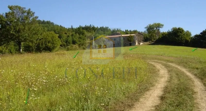 Poreč, Karojba, dintorni, Grande terreno di 12550 m2, 1900 m2 edificabili, 20 km dal mare – 2