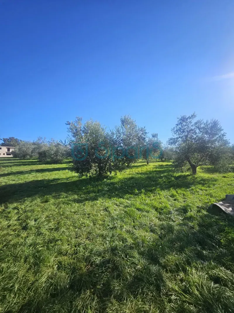 UMAG - GRAĐEVINSKO I POLJOPRIVREDNO ZEMLJIŠTE NA PRODAJI