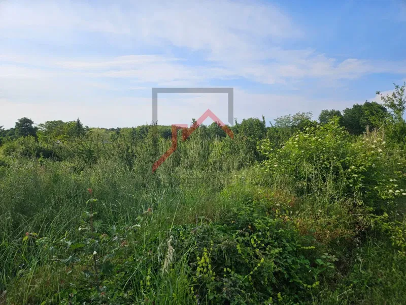 Telek Višnjan – 2