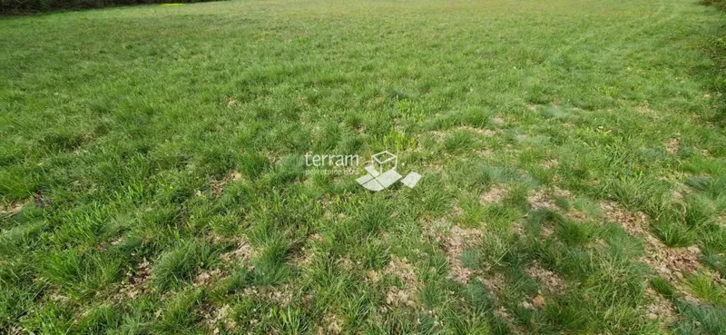 Telek Barban – 3