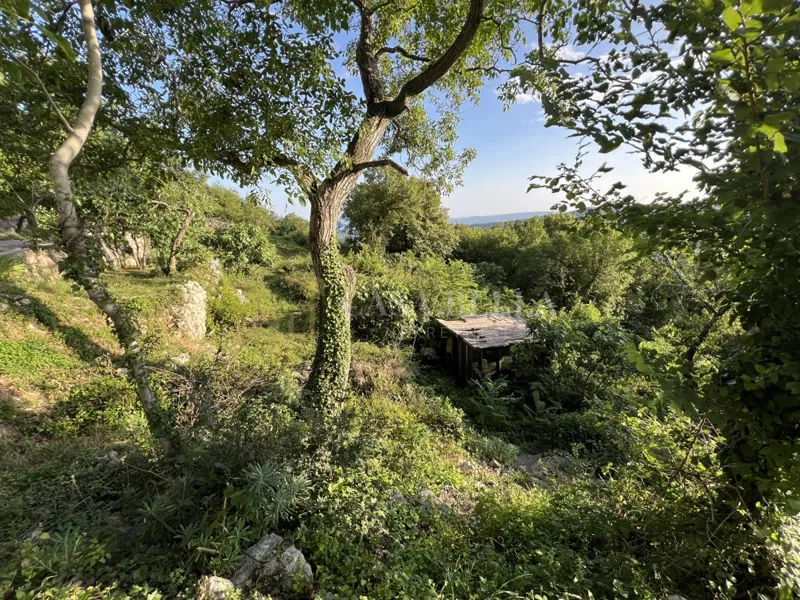 Zaleđe Crikvenice, Grižane – građevinsko zemljište 497m2 – 3