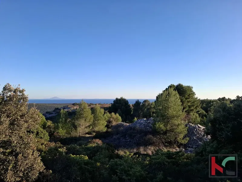 TERRENO 4985 m2 CON VISTA MARE #VENDITA – 2